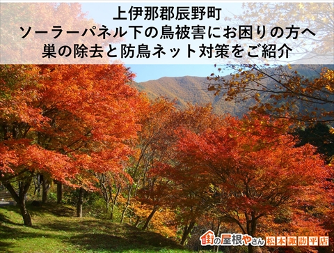 辰野町ソーラーパネルの鳥被害　防鳥ネット設置工事事例